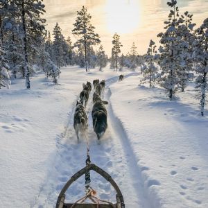 finlandia